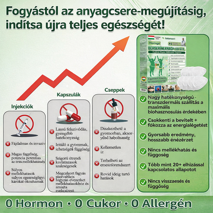 💥Hivatalos Bolt | 💯Solaroza® Prémium Nano Tűs Tapaszok (Napi Egyszer, Eredmények 7 Nap Alatt), Alkalmas Emésztésre, Duzzanat Csökkentésére, Méregtelenítésre, Alvási Apnoéra és Ízületi Problémákra