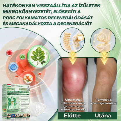 💥Hivatalos Bolt | 💯Solaroza® Prémium Nano Tűs Tapaszok (Napi Egyszer, Eredmények 7 Nap Alatt), Alkalmas Emésztésre, Duzzanat Csökkentésére, Méregtelenítésre, Alvási Apnoéra és Ízületi Problémákra
