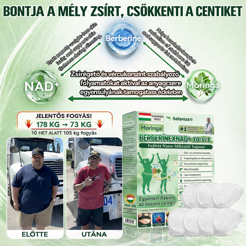 💥Hivatalos Bolt | 💯Solaroza® Prémium Nano Tűs Tapaszok (Napi Egyszer, Eredmények 7 Nap Alatt), Alkalmas Emésztésre, Duzzanat Csökkentésére, Méregtelenítésre, Alvási Apnoéra és Ízületi Problémákra