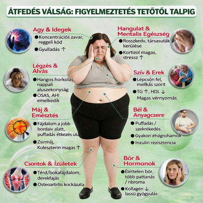 💥Hivatalos Bolt | 💯Solaroza® Prémium Nano Tűs Tapaszok (Napi Egyszer, Eredmények 7 Nap Alatt), Alkalmas Emésztésre, Duzzanat Csökkentésére, Méregtelenítésre, Alvási Apnoéra és Ízületi Problémákra