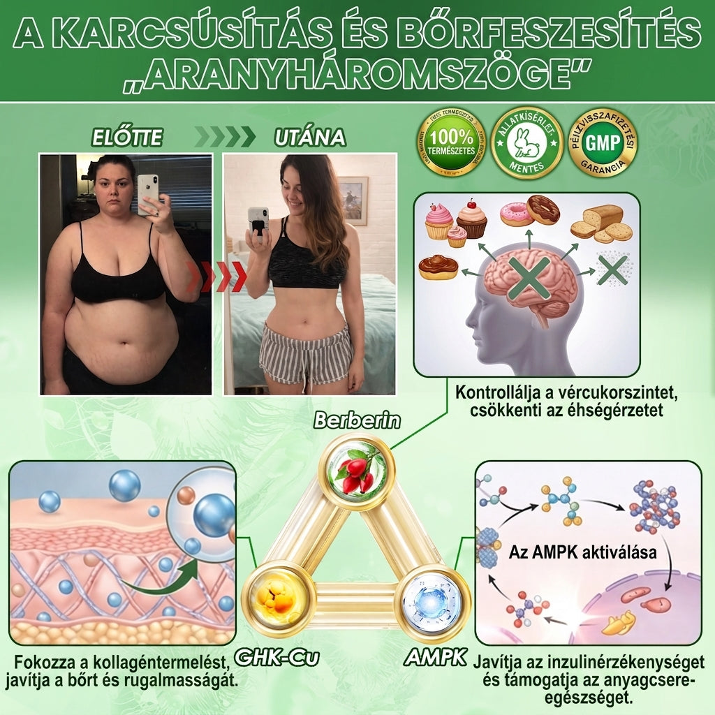 【💥2026 Új termékek és különleges ajánlatok: 80% kedvezmény】👑Solaroza® Moringa Berberine X NAD+ 10-10-1 fejlett nano mikrotűs tapasz - Naponta egyszer, látható eredmények 7 napon belül