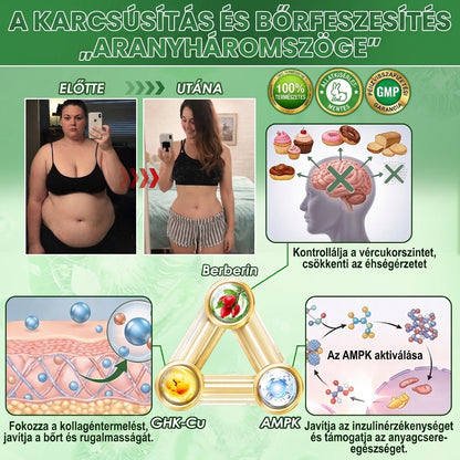 【💥2026 Új termékek és különleges ajánlatok: 80% kedvezmény】👑Solaroza® Moringa Berberine X NAD+ 10-10-1 fejlett nano mikrotűs tapasz - Naponta egyszer, látható eredmények 7 napon belül