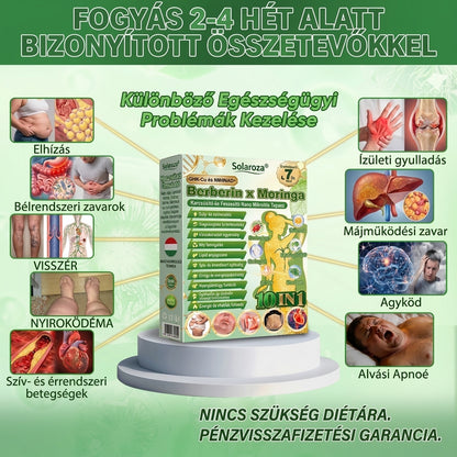 【💥2026 Új termékek és különleges ajánlatok: 80% kedvezmény】👑Solaroza® Moringa Berberine X NAD+ 10-10-1 fejlett nano mikrotűs tapasz - Naponta egyszer, látható eredmények 7 napon belül