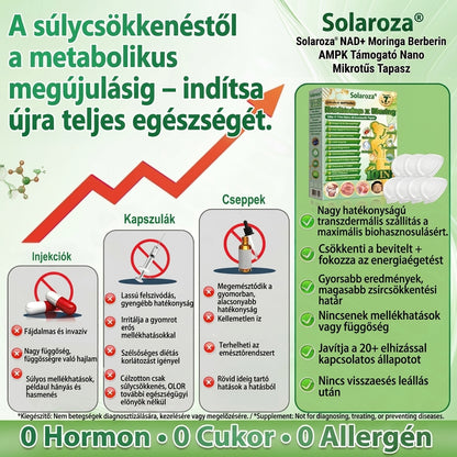 【💥2026 Új termékek és különleges ajánlatok: 80% kedvezmény】👑Solaroza® Moringa Berberine X NAD+ 10-10-1 fejlett nano mikrotűs tapasz - Naponta egyszer, látható eredmények 7 napon belül